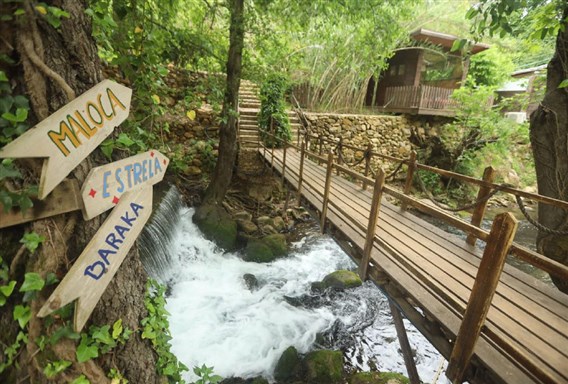 Nomads Nature and Nurture