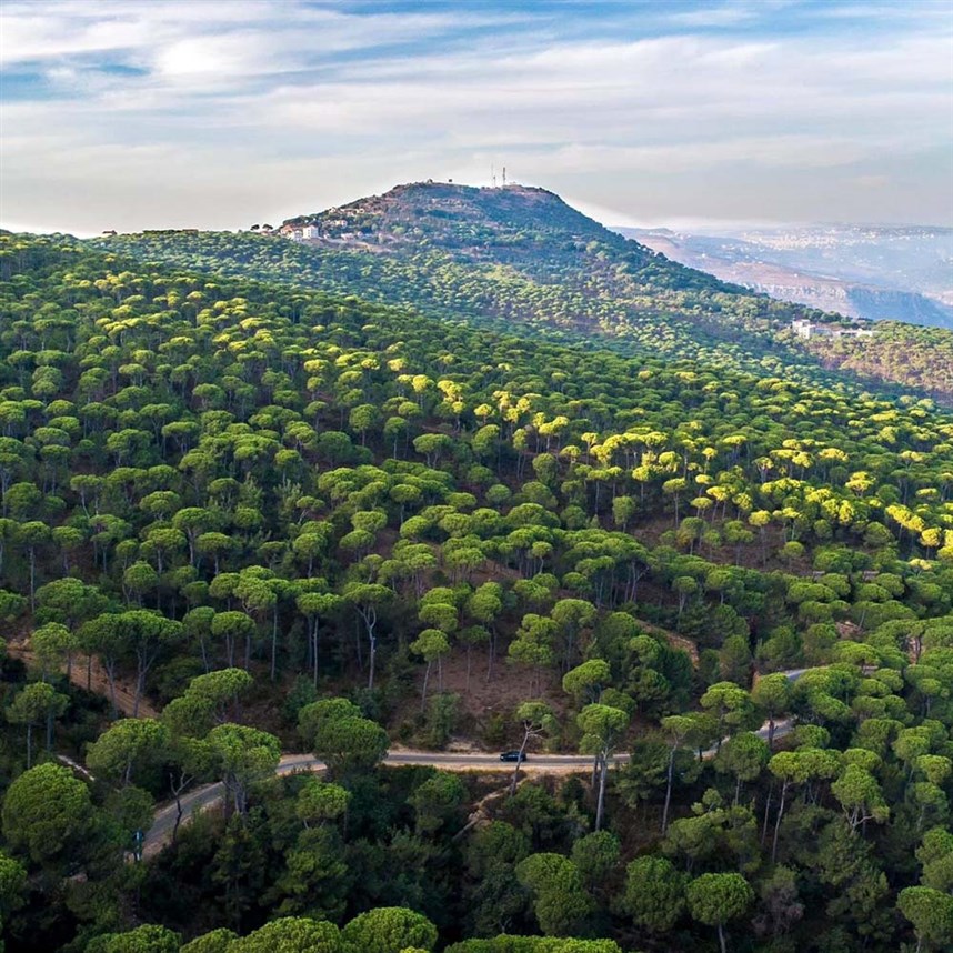 An Amazing Day in South Lebanon!
